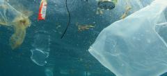 Le plastique serait un million de fois plus présent que prévu dans nos océans