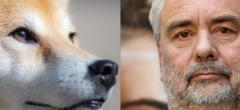 Luc Besson signe son grand retour avec un drame poignant sur l'univers des chiens