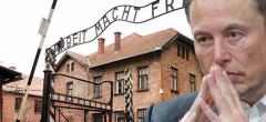 Elon Musk : le patron de X découvre l'ampleur de l'antisémitisme à Auschwitz