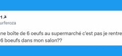 Top 15 des tweets les plus drôles de la semaine #477