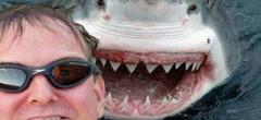 Les selfies sont plus dangereux pour l'homme que les requins