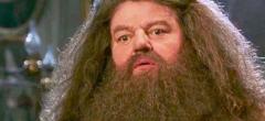 Harry Potter : les causes de la mort de Robbie Coltrane (Hagrid) viennent d'être dévoilées