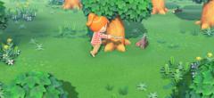 Animal Crossing New Horizons : une technique existe pour rendre vos outils incassables