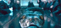 Les Animaux Fantastiques 2 : la bande-annonce finale confirme la théorie sur Nagini, le serpent de Voldemort