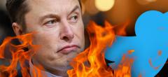 Twitter : Elon Musk de nouveau humilié par un Français, la sanction risque de tomber