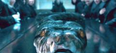 Harry Potter : une nouvelle race de serpent nommée en hommage à un personnage de la saga