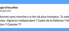 Le top 15 des tweets de la semaine #446