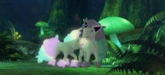 Pokémon Épée/Bouclier : le récemment annoncé Ponyta de Galar sera exclusif à Bouclier