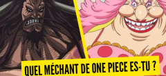 Test de personnalité : quel méchant de One Piece es-tu ?