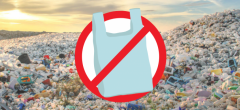 International Plastic Bag Free Day : cette campagne écologique veut responsabiliser le monde pour sauver la planète