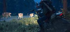 Days Gone de nouveau retardé, une nouvelle date de sortie dévoilée