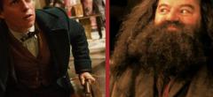 Harry Potter : Hagrid et Norbert Dragonneau seraient liés par ce terrifiant animal