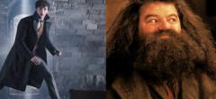 Les Animaux fantastiques 3 : une folle théorie impliquant Hagrid agite la toile