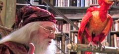 Harry Potter : le set LEGO Fumseck, le Phénix de Dumbledore est trop beau