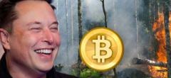 Bitcoin : Elon Musk refait joujou avec la cryptomonnaie pour l'environnement