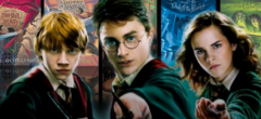 Harry Potter : ce personnage coupé dans les films sera dans la série HBO