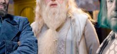 Harry Potter : cette incohérence sur Dumbledore enfin expliquée par un fan