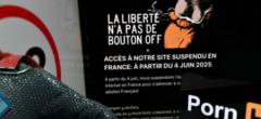 Pornhub et YouPorn bloqués en France, voici les grands gagnants