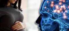 20 faits sur le corps humain