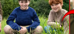 Harry Potter : HBO fait un choix de casting qui va enthousiasmer les fans