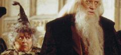 Ce professeur absent des films Harry Potter au casting de la série HBO ?