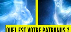 Test de personnalité Harry Potter : quel est votre patronus ?