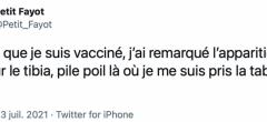 Le top 15 des tweets de la semaine #317