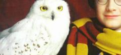 Harry Potter : cette réplique de Hedwige est splendide