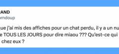 Top 15 des tweets les plus drôles de la semaine #479