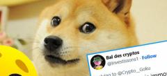 Doge : le chien du célèbre meme est mourant, les twittos sont en larmes (20 tweets)