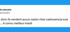 Le top 15 des tweets de la semaine #417