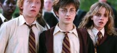 Harry Potter : ce nouveau projet regroupe plus de 100 acteurs fans de la saga