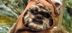 Star Wars : une série basée sur les Ewoks bientôt sur Disney+ ?