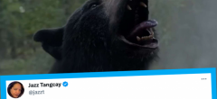 Crazy Bear : les premières critiques sont sorties, cet ours shooté à la cocaïne régale