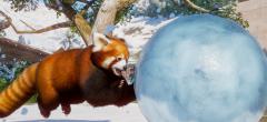 Planet Zoo : la meilleure gestion de parc animalier s'offre une épopée enneigée