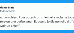 Top 15 des tweets les plus drôles de la semaine #474