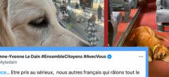 Cette politique dénonce un chien sans muselière dans le train, les internautes se moquent