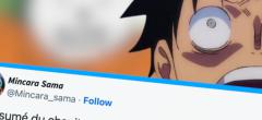 One Piece #1081 : ce personnage montre enfin sa toute puissance, les fans sont en folie (15 tweets)