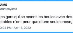 Le top 15 des tweets de la semaine #357