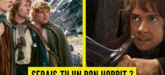 Test de personnalité Seigneur des Anneaux : serais-tu un bon Hobbit ?