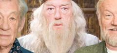 Harry Potter : cet acteur parfait pour Dumbledore refuse de participer à la série HBO