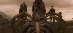 Harry Potter : revivez cette scène culte avec l'araignée Aragog