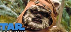 Star Wars IX : un retour des Ewoks dans l'Ascension de Skywalker ?