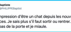 Le top 15 des tweets de la semaine #303