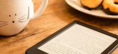 Kobo by Fnac : livres audio et ebooks en promotion, un conte de Noël gratuit par le duo Eric et Quentin