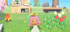 [MAJ] Animal Crossing New Horizons : arbustes, légumes, plongée, le futur contenu fuite avant l'heure