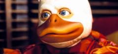 Howard The Duck pourrait faire l'objet d'un remake par les studios Marvel !