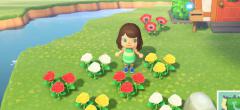 Animal Crossing New Horizons : comment faire pousser des fleurs hybrides ?