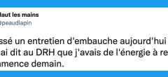 Le top 15 des tweets de la semaine #377