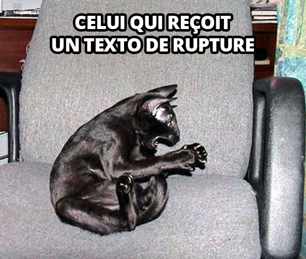 Chat objet invisible